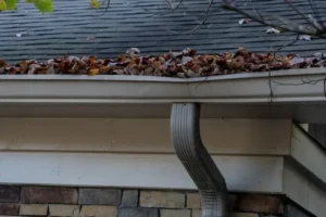 Roof Clogged Gutter