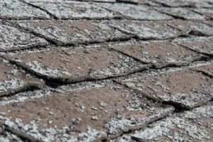 roof granule loss