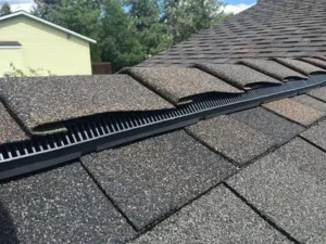 Ridge Vent