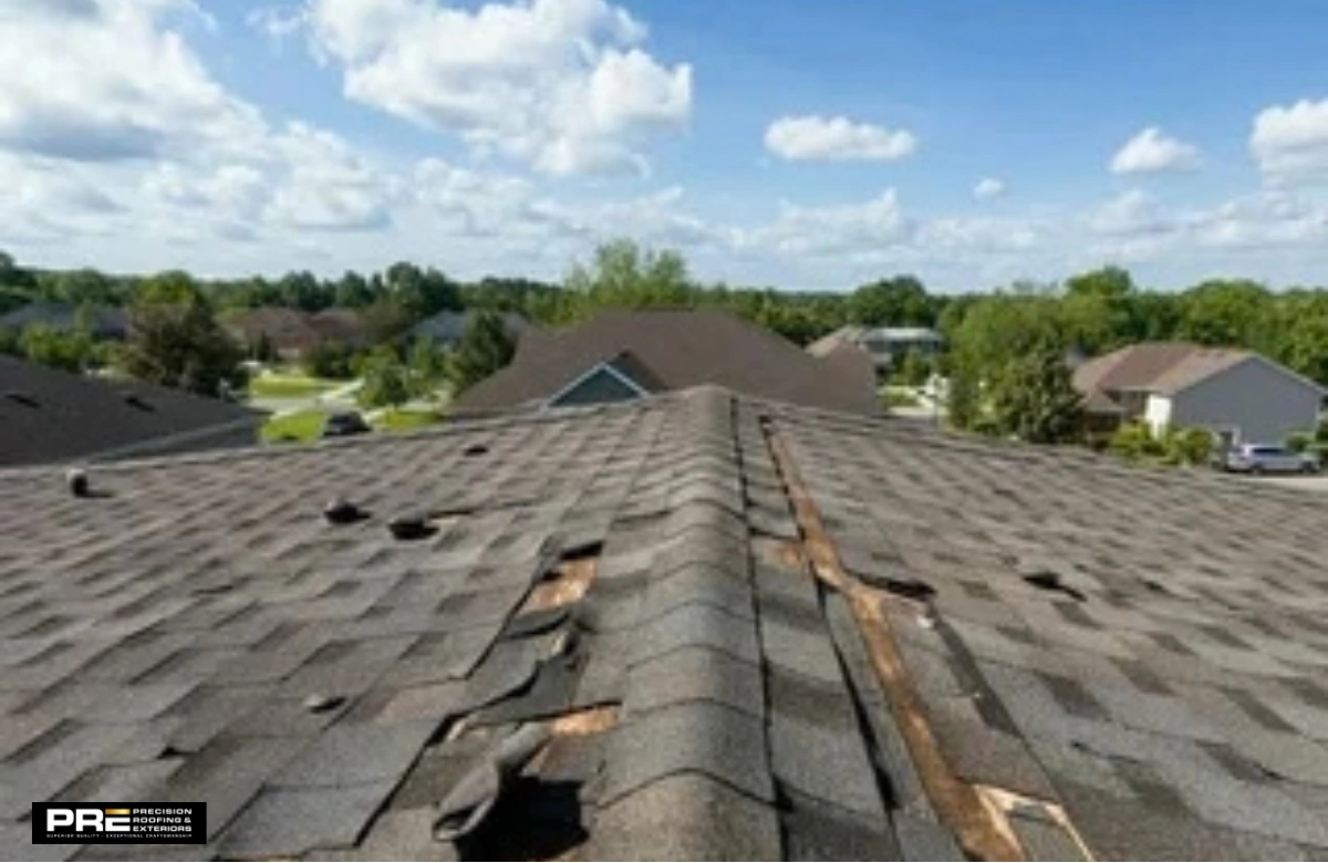 curled shingles